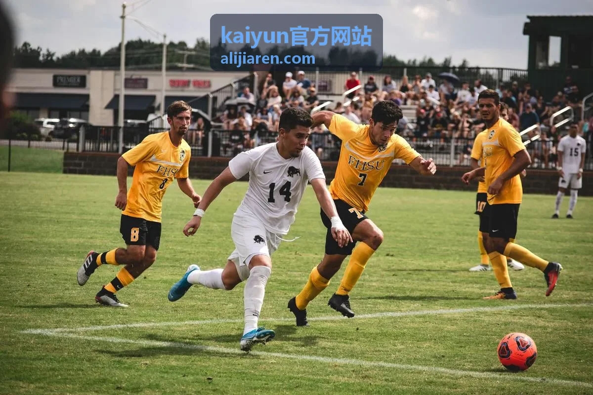 kaiyun官方网站功能模块说明与适用场景配图