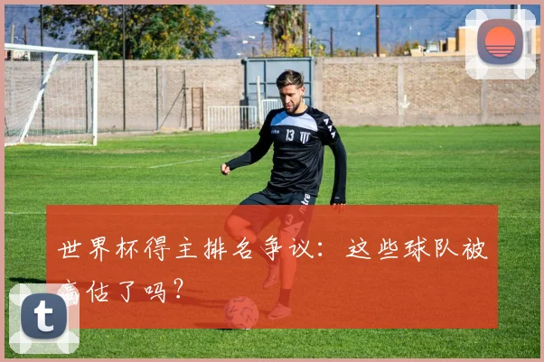 世界杯得主排名争议：这些球队被高估了吗？