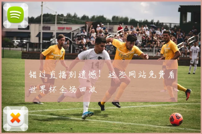 错过直播别遗憾！这些网站免费看世界杯全场回放