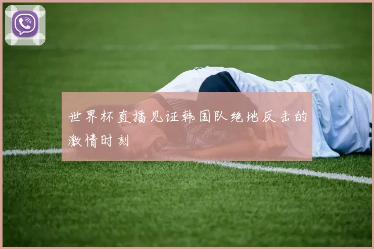 世界杯直播见证韩国队绝地反击的激情时刻