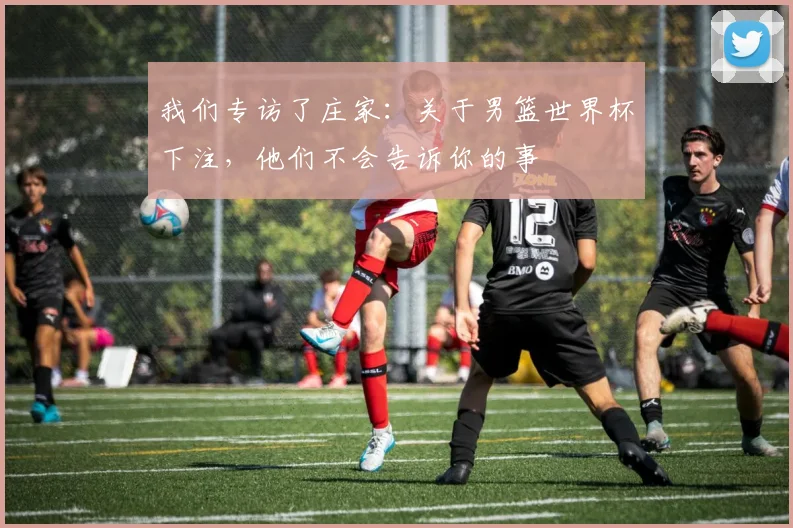 我们专访了庄家:关于男篮世界杯下注,他们不会告诉你的事