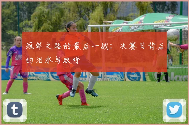 冠军之路的最后一战：决赛日背后的泪水与欢呼