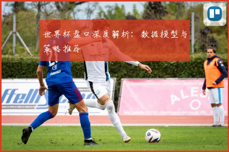 世界杯盘口深度解析:数据模型与策略推荐