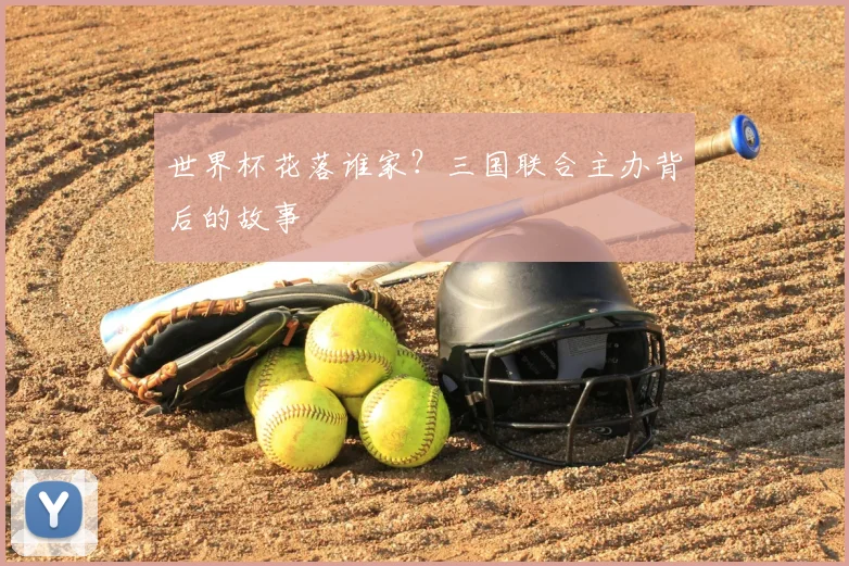 世界杯花落谁家?三国联合主办背后的故事