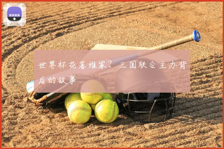 世界杯花落谁家？三国联合主办背后的故事