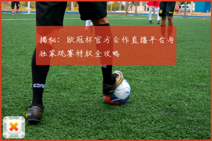 揭秘：欧冠杯官方合作直播平台与独家观赛特权全攻略