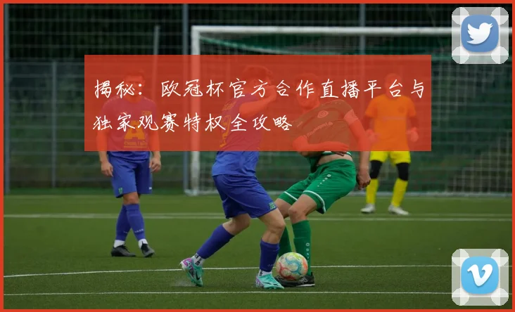 揭秘：欧冠杯官方合作直播平台与独家观赛特权全攻略